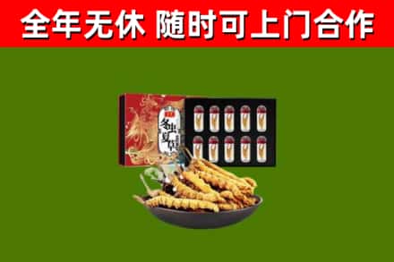 盘龙区烟酒回收冬虫夏草礼盒.jpg